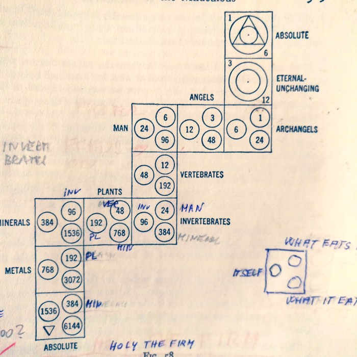 food diagram0715_193015