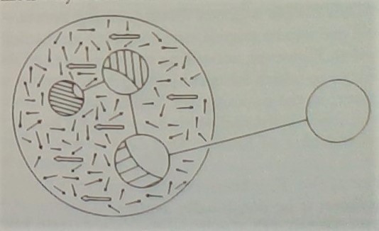 WIN_20190521_18_00_31_Pro (3)